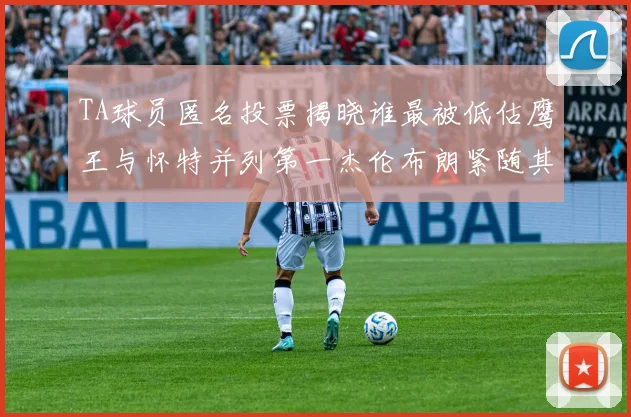 TA球员匿名投票揭晓谁最被低估鹰王与怀特并列第一杰伦布朗紧随其后